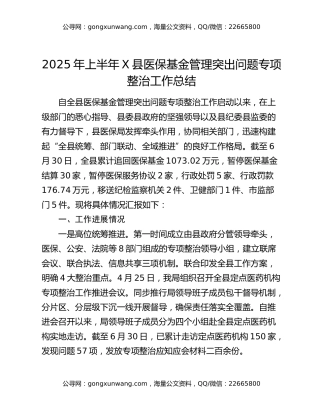 2025年上半年X县医保基金管理突出问题专项整治工作总结