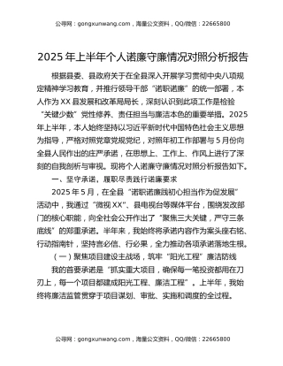 2025年上半年个人诺廉守廉情况对照分析报告