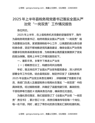 2025年上半年县税务局党委书记落实全面从严治党“一岗双责”工作情况报告