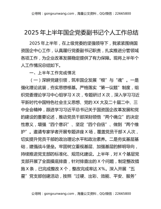 2025年上半年国企党委副书记个人工作总结