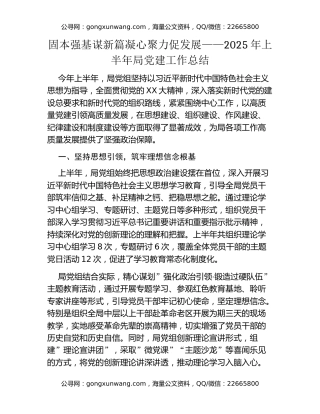 2025年上半年局党建工作总结