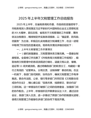 2025年上半年欠税管理工作总结报告