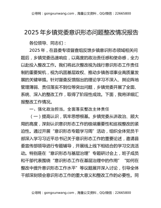 2025年乡镇党委意识形态问题整改情况报告