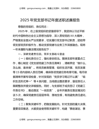2025年党支部书记年度述职述廉报告