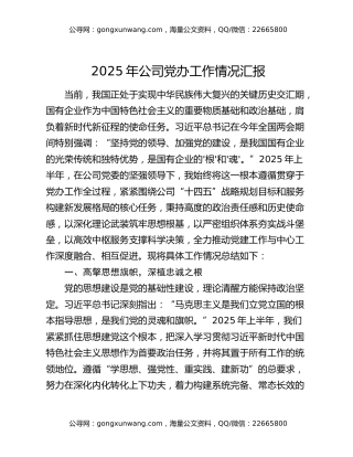 2025年公司党办工作情况汇报