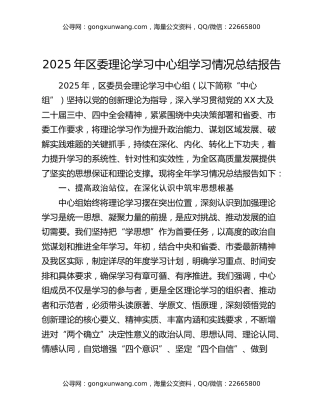 2025年区委理论学习中心组学习情况总结报告