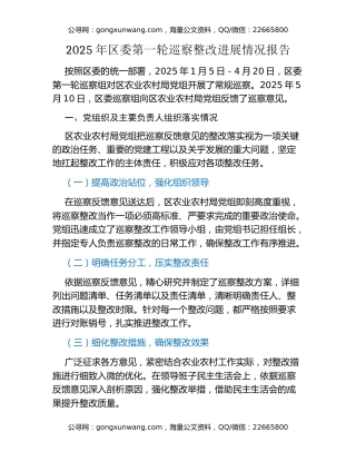 2025年区委第一轮巡察整改进展情况报告