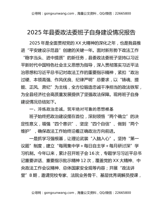 2025年县委政法委班子自身建设情况报告