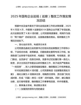 2025年国有企业巡视（巡察）整改工作落实情况总结