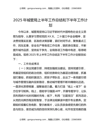 2025年城管局上半年工作总结和下半年工作计划