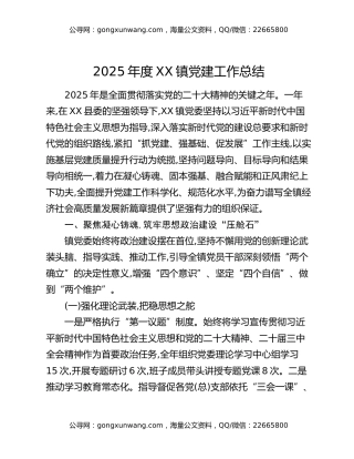 2025年度XX镇党建工作总结
