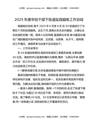 2025年度年轻干部下街道实践锻炼工作总结