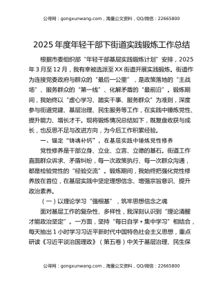 2025年度年轻干部下街道实践锻炼工作总结（2）