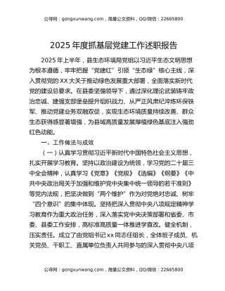 2025年度抓基层党建工作述职报告