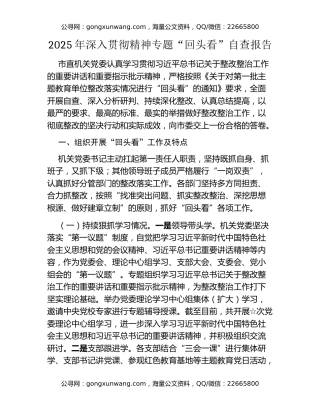 2025年深入贯彻精神专题“回头看”自查报告