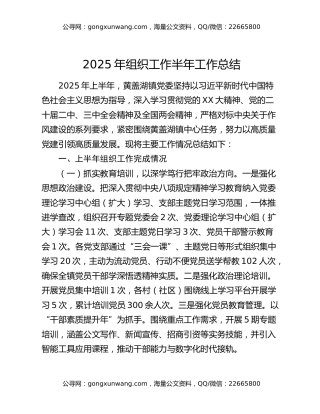 2025年组织工作半年工作总结