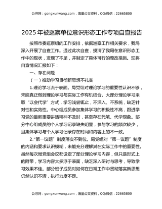 2025年被巡察单位意识形态工作专项自查报告