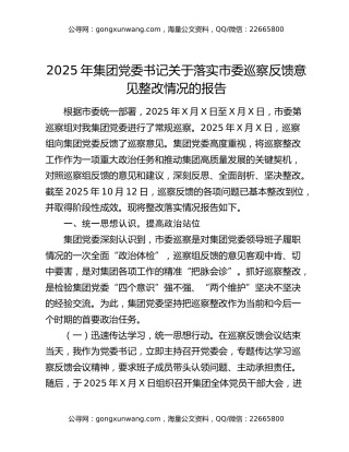 2025年集团党委书记关于落实市委巡察反馈意见整改情况的报告