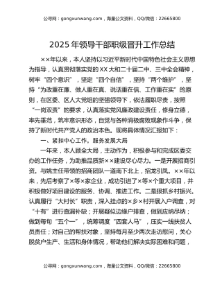 2025年领导干部职级晋升工作总结