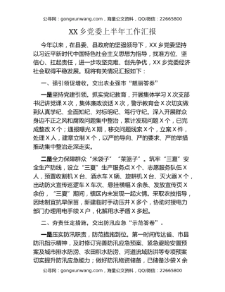 XX乡党委上半年工作总结