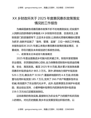 XX乡财政所关于2025年度惠民惠农政策落实情况的工作报告