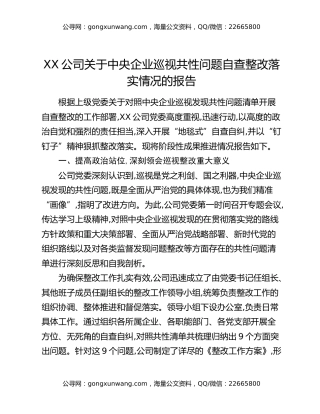 XX公司关于中央企业巡视共性问题自查整改落实情况的报告