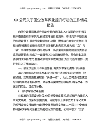 XX公司关于国企改革深化提升行动的工作情况报告