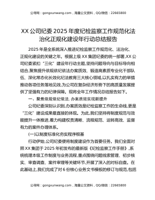 XX公司纪委2025年度纪检监察工作规范化法治化正规化建设年行动总结报告