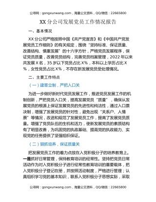 XX分公司发展党员工作情况报告