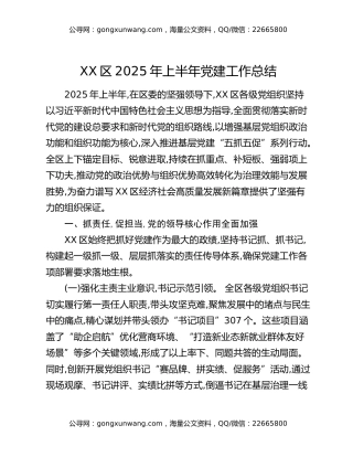XX区2025年上半年党建工作总结