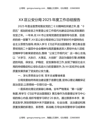 XX区公安分局2025年度工作总结报告