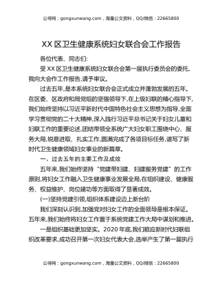 XX区卫生健康系统妇女联合会工作报告