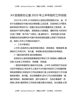 XX区政府办公室2025年上半年驻村工作总结