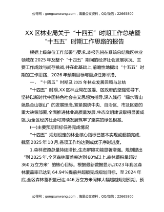 XX区林业局关于“十四五”时期工作总结暨“十五五”时期工作思路的报告