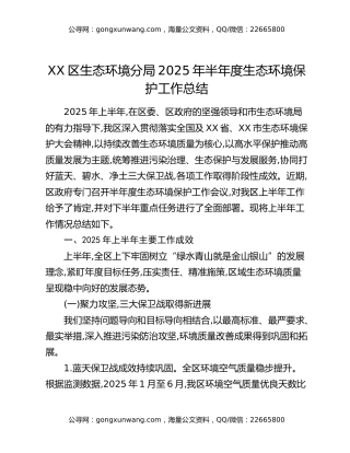 XX区生态环境分局2025年半年度生态环境保护工作总结
