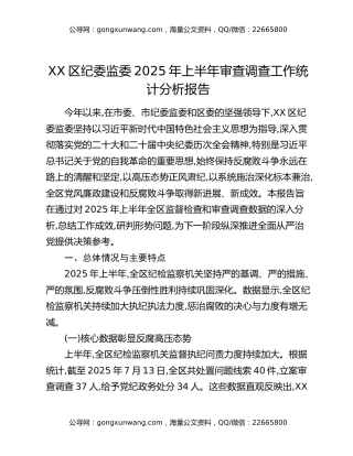 XX区纪委监委2025年上半年审查调查工作统计分析报告