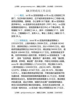 XX区财政局工作总结