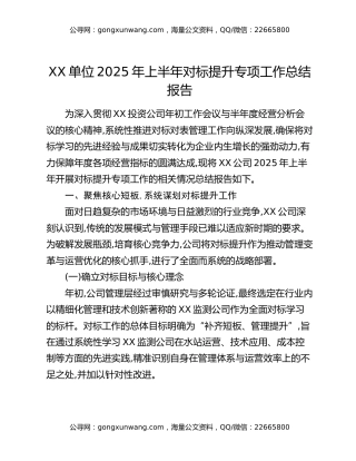 XX单位2025年上半年对标提升专项工作总结报告