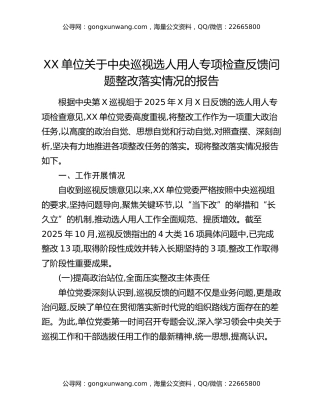 XX单位关于中央巡视选人用人专项检查反馈问题整改落实情况的报告