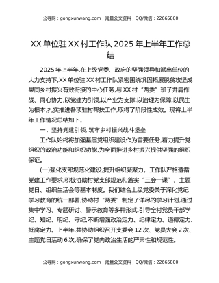 XX单位驻XX村工作队2025年上半年工作总结