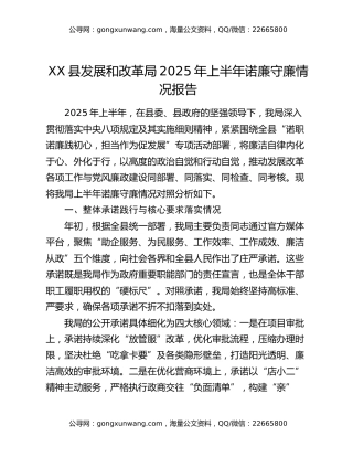 XX县发展和改革局2025年上半年诺廉守廉情况报告