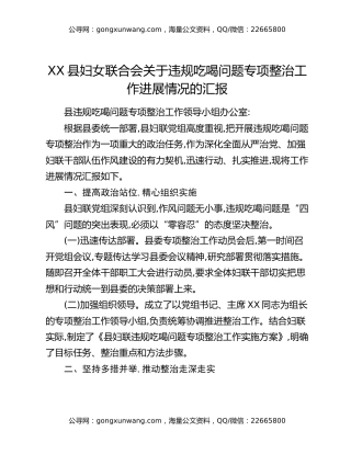XX县妇女联合会关于违规吃喝问题专项整治工作进展情况的汇报