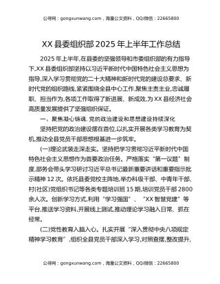 XX县委组织部2025年上半年工作总结