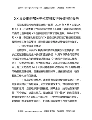 XX县委组织部关于巡察整改进展情况的报告