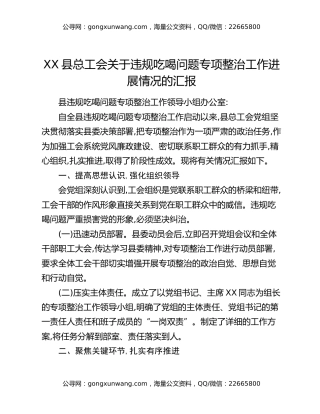 XX县总工会关于违规吃喝问题专项整治工作进展情况的汇报