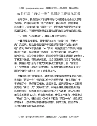 xx县打造“两优一先”党组织工作情况汇报