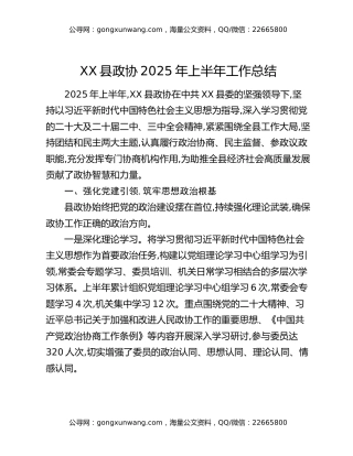XX县政协2025年上半年工作总结
