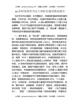 xx县村党组织书记干部队伍建设情况报告