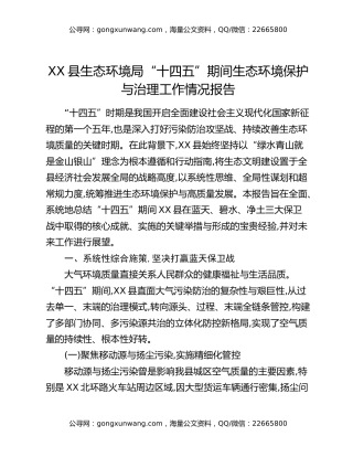 XX县生态环境局“十四五”期间生态环境保护与治理工作情况报告