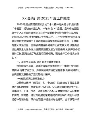 XX县统计局2025年度工作总结